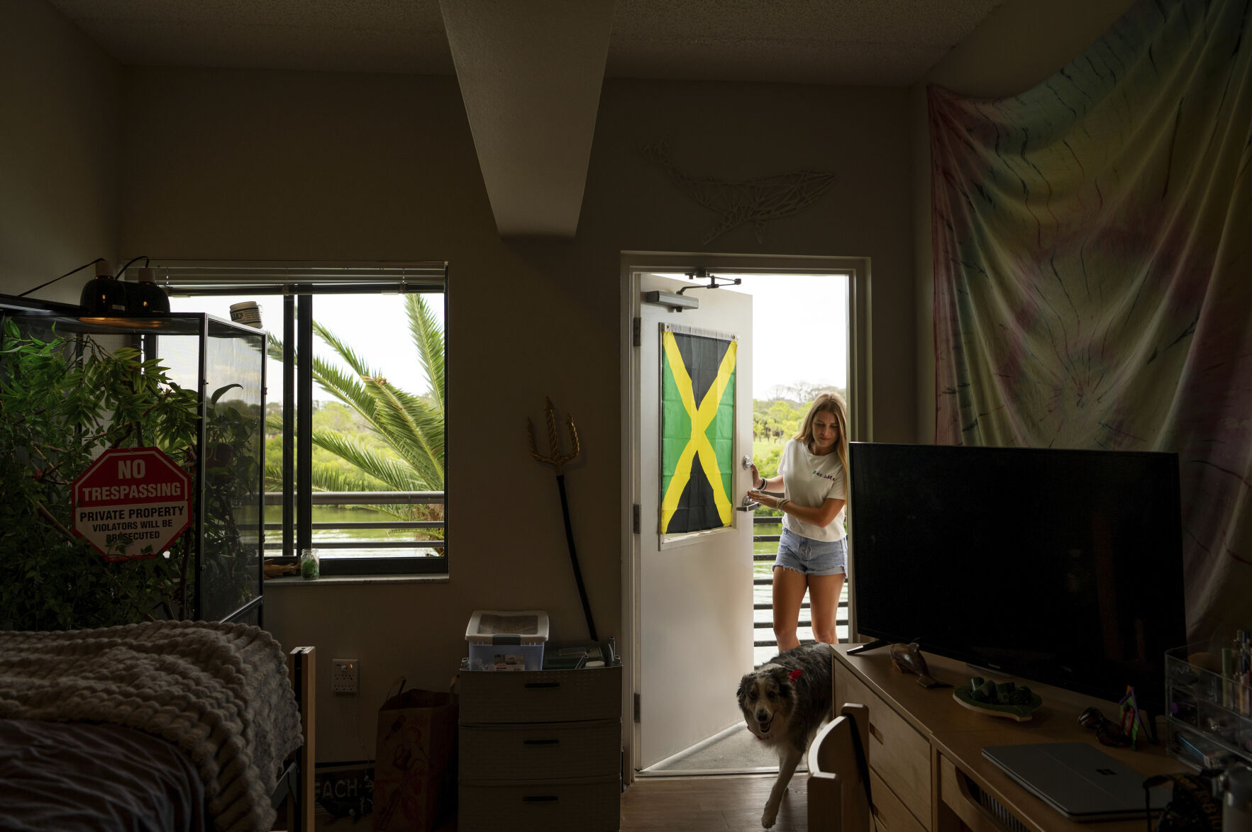 Be Well Education Pet Friendly Dorms